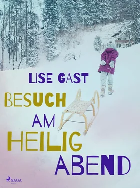 Lise Gast Besuch am Heiligabend обложка книги