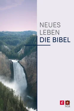 SCM R.Brockhaus Neues Leben. Die Bibel