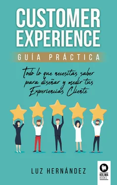 Luz Hernández Hernández Customer Experience. Guía práctica обложка книги