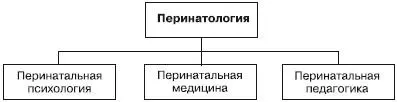 Рис 1 Перинатальная психология и перинатальная педагогика выделились из - фото 1