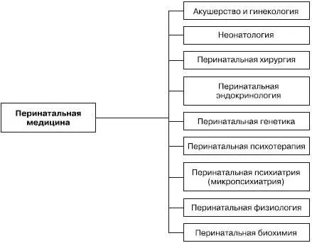 Рис 2 Остановимся однако только на перинатальной психиатрии и перинатальной - фото 2