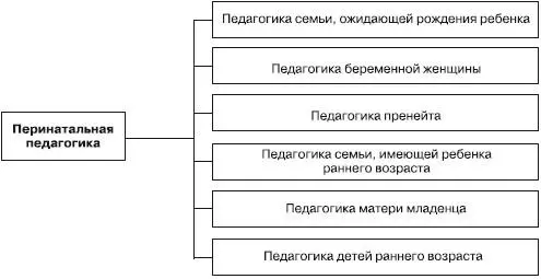 Рис 3 Важно чтобы специалист в области перинатальной педагогики имел - фото 3