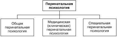 Рис 5 Медицинская перинатальная психология исследует особенности динамики - фото 5