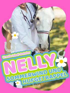 Ursula Isbel-Dotzler Nelly - Sommerwind und Hufgetrappel обложка книги