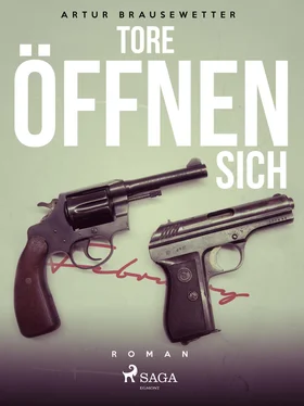 Artur Brausewetter Tore öffnen sich обложка книги