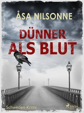 Åsa Nilsonne Dünner als Blut - Schweden-Krimi обложка книги