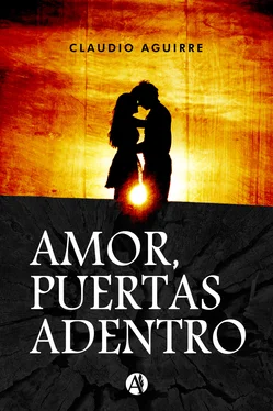 Claudio Aguirre Amor, puertas adentro обложка книги