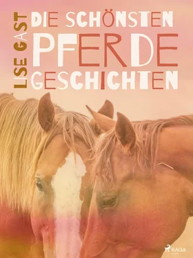 Lise Gast Die schönsten Pferdegeschichten обложка книги