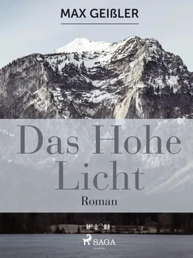 Max Geißler Das hohe Licht обложка книги
