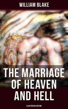 William Blake THE MARRIAGE OF HEAVEN AND HELL (Illustrated Edition) обложка книги