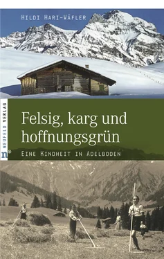 Hildi Hari-Wäfler Felsig, karg und hoffnungsgrün обложка книги