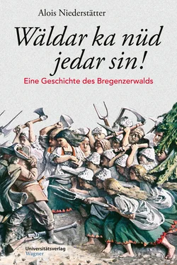 Alois Niederstätter Wäldar ka nüd jedar sin! обложка книги