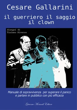 Cesare Gallarini Il guerriero il saggio il clown обложка книги