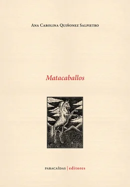 Ana Carolina Quiñonez Salpietro Matacaballos обложка книги