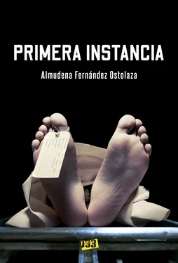 Almudena Fernández Ostolaza Primera instancia обложка книги
