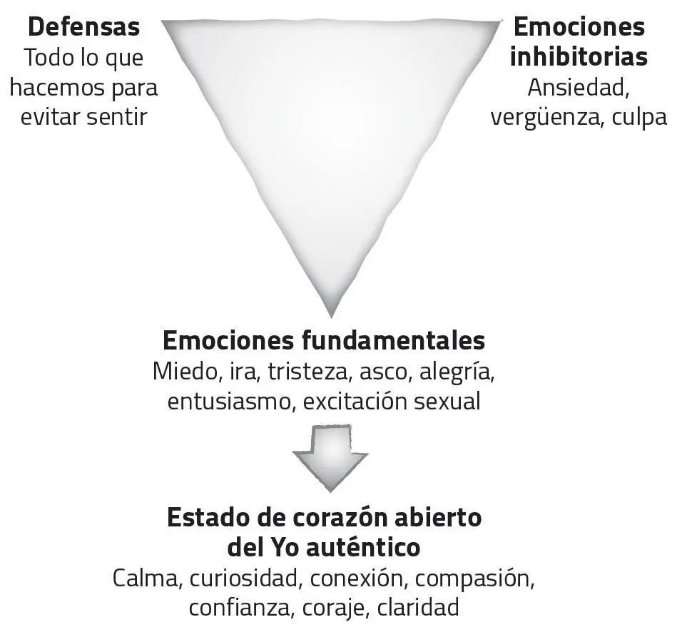 QUÉ SON LAS EMOCIONES FUNDAMENTALES Las emociones fundamentales son - фото 4