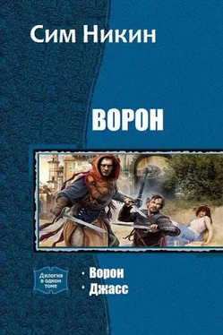 Сим Никин Ворон. Дилогия (СИ) обложка книги