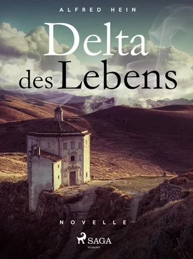 Alfred Hein Delta des Lebens обложка книги