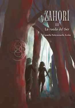 Camila Valenzuela Zahorí III. La rueda del Ser обложка книги