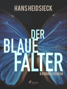 Hans Heidsieck Der blaue Falter обложка книги