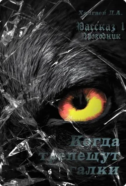 Джал Халгаев Когда трепещут галки. Рассказ 1. Проводник (СИ) обложка книги