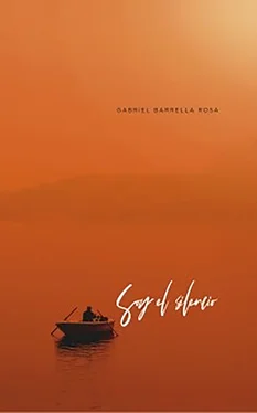 Gabriel Barrella Rosa Soy el silencio обложка книги