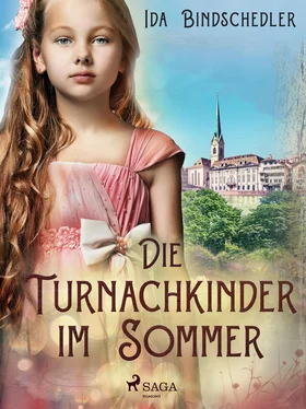 Ida Bindschedler Die Turnachkinder im Sommer обложка книги