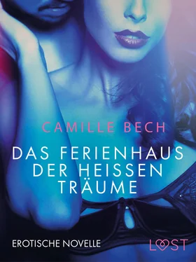 Camille Bech Das Ferienhaus der heißen Träume: Erotische Novelle обложка книги