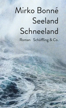 Mirko Bonné Seeland Schneeland обложка книги