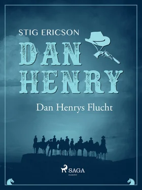 Stig Ericson Dan Henrys Flucht обложка книги