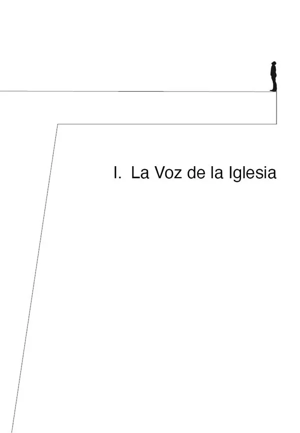 LE SFIDE DELLA REGIONE PANAMAZZONICA COOPERAZIONE NECESSARIA TRA GLI ORGANISMI - фото 3