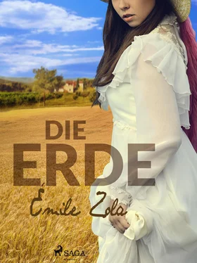 Emile Zola Die Erde обложка книги