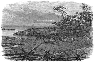 Hester Prynne therefore did not flee On the outskirts of the town within - фото 15