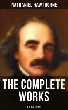 Nathaniel Hawthorne The Complete Works of Nathaniel Hawthorne (With Illustrations) обложка книги