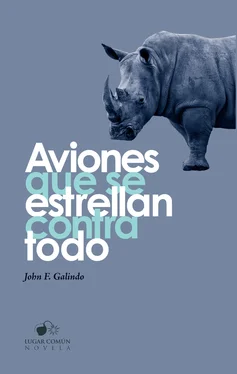 John F. Galindo Aviones que se estrellan contra todo обложка книги