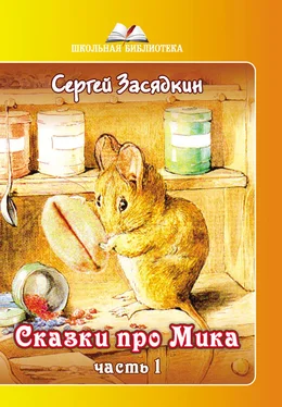 Сергей Засядкин Сказки про Мика. Часть 1 обложка книги