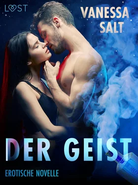 Vanessa Salt Der Geist: Erotische Novelle обложка книги