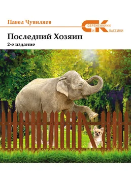 Павел Чувиляев Последний хозяин обложка книги