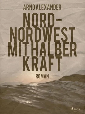 Arno Alexander Nord-Nordwest mit halber Kraft обложка книги
