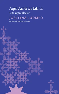 Josefina Ludmer Aquí América Latina обложка книги