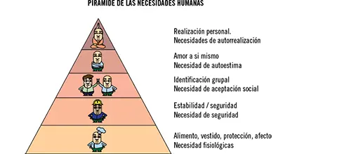 Necesidades fisiológicas El primer escalón de la pirámide de Maslow como se ha - фото 5