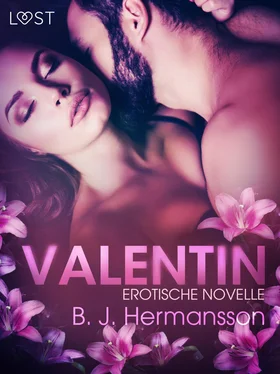 B. J. Hermansson Valentin: Erotische Novelle обложка книги