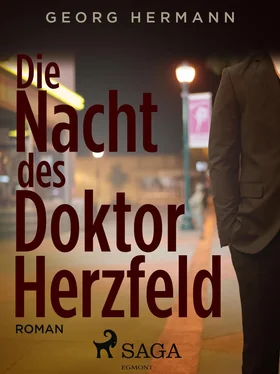 Georg Hermann Die Nacht des Doktor Herzfeld обложка книги