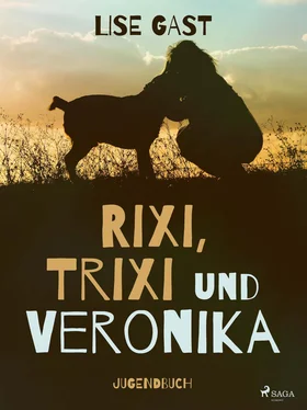 Lise Gast Rixi, Trixi und Veronika обложка книги