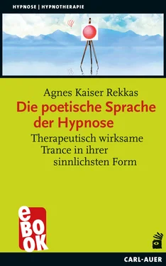 Agnes Kaiser Rekkas Die poetische Sprache der Hypnose обложка книги