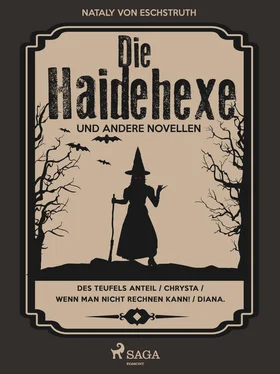 Nataly von Eschstruth Die Haidehexe обложка книги