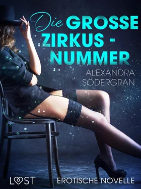 Alexandra Södergran Die große Zirkusnummer - Erotische Novelle обложка книги