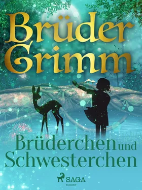 Brüder Grimm Brüderchen und Schwesterchen обложка книги