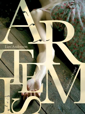 Lars Andersson Artemis обложка книги