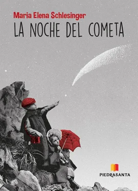 María Elena Schelesinger La noche del cometa обложка книги